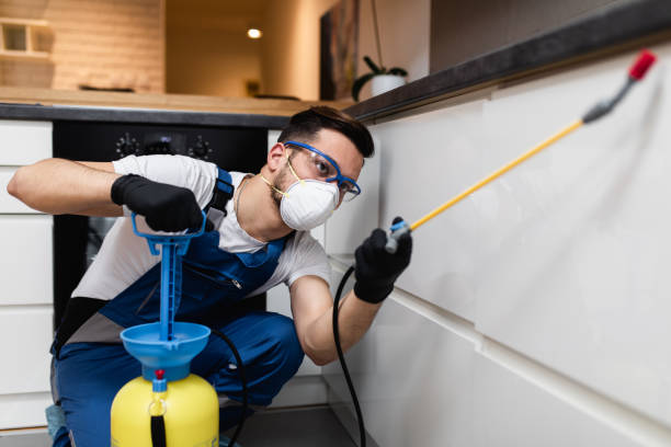 Best Pest Control Near Me in Traer, IA