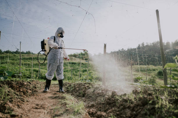 Best Mosquito Control Services  in Traer, IA