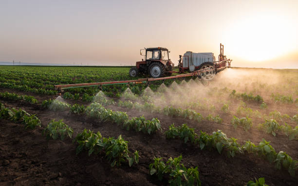 Best Best Pest Control Near Me  in Traer, IA
