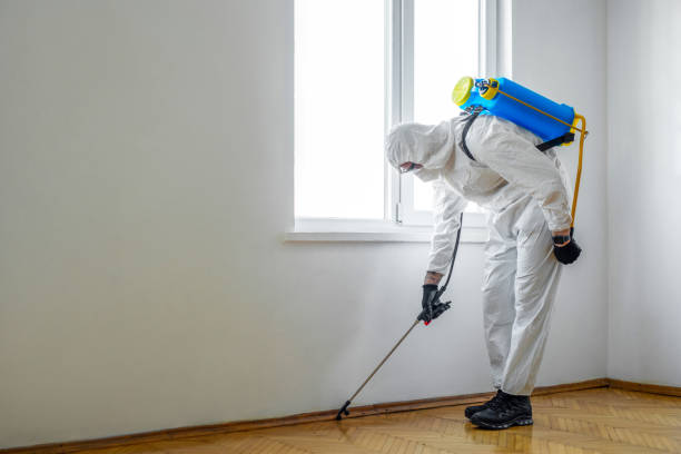 Professional Pest Control in Traer, IA