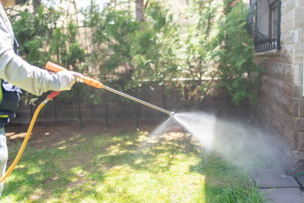 Best Insect Control  in Traer, IA